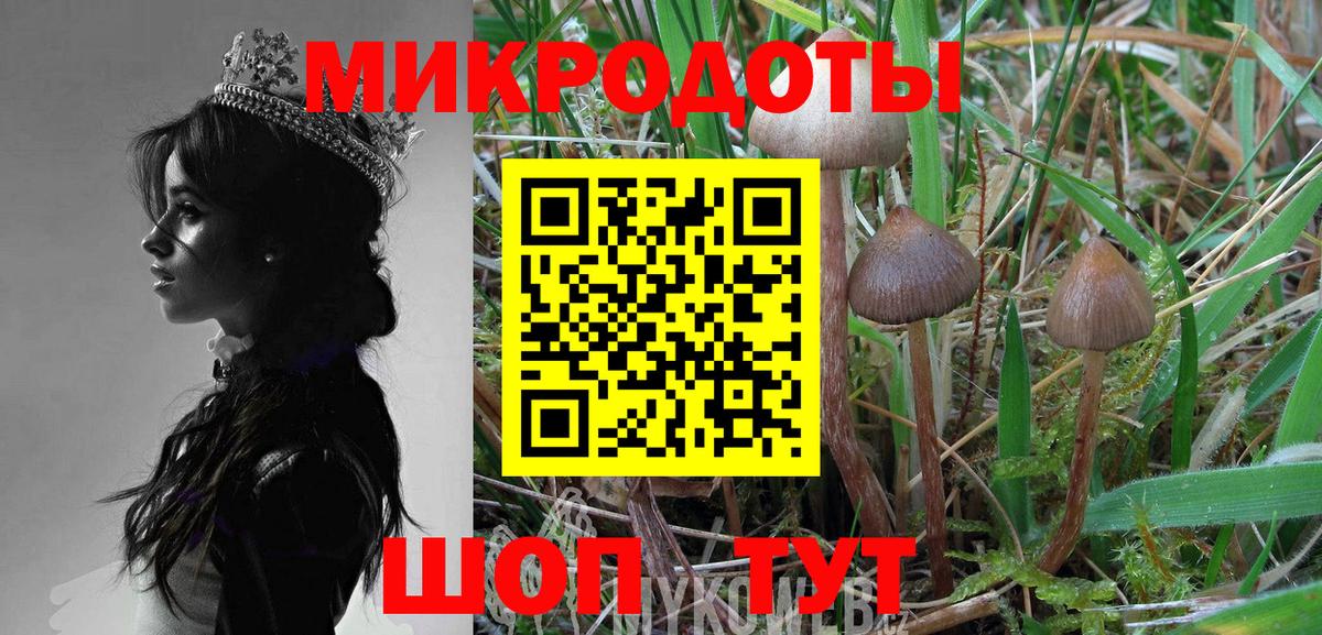 Воскресенск  Галлюциногенные грибы Cubensis  цена   Вход с VPN 