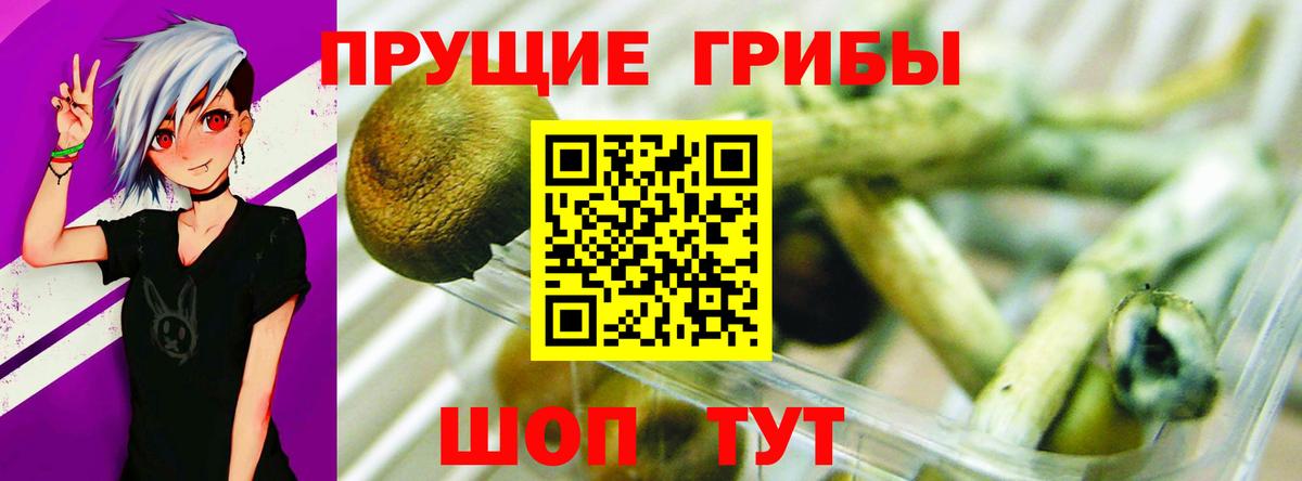 Галлюциногенные грибы GOLDEN TEACHER Воскресенск
